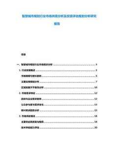 智慧城市規劃行業市場供需分析及投資評估規劃分析研究報告