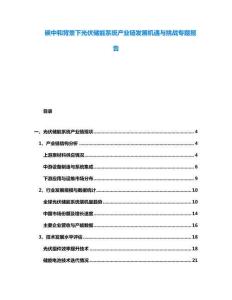 碳中和背景下光伏儲(chǔ)能系統(tǒng)產(chǎn)業(yè)鏈發(fā)展機(jī)遇與挑戰(zhàn)專題報(bào)告