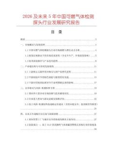 2026及未來5年中國可燃氣體檢測探頭行業發展研究報告