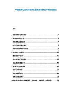 中國(guó)能源行業(yè)市場(chǎng)現(xiàn)狀行業(yè)發(fā)展與投資評(píng)估研究報(bào)告