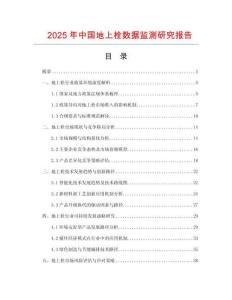 2025年中國地上栓數據監測研究報告