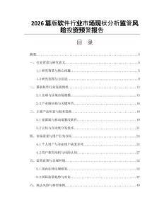 2026篡版軟件行業(yè)市場(chǎng)現(xiàn)狀分析監(jiān)管風(fēng)險(xiǎn)投資預(yù)警報(bào)告