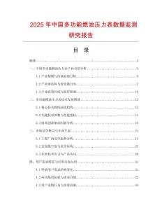 2025年中國多功能燃油壓力表數據監測研究報告