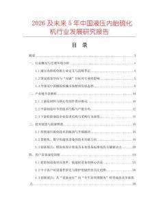 2026及未來5年中國(guó)液壓內(nèi)胎硫化機(jī)行業(yè)發(fā)展研究報(bào)告