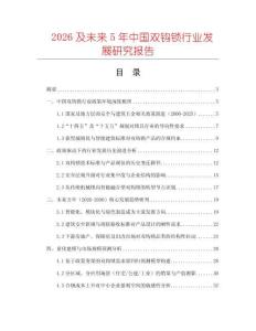 2026及未來5年中國雙鉤鎖行業(yè)發(fā)展研究報告