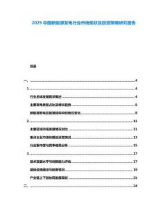 2025中國新能源發電行業市場現狀及投資策略研究報告