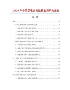 2025年中國民歌吉他數據監測研究報告
