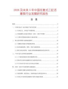 2026及未來5年中國往復式三缸活塞泵行業發展研究報告