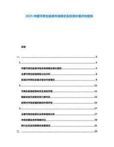 2025中國可再生能源市場現狀及投資價值評估報告