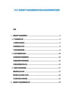 2025氫能源產業鏈發展瓶頸與商業化投資策略研究報告