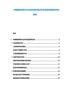 中國磷酸鐵鋰行業市場當前供需分析及投資發展前景評估報告