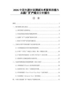 2026中國先進封裝測試技術發展路線與晶圓廠擴產規劃分析報告