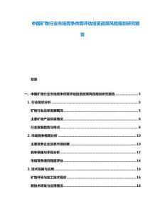 中國礦物行業市場競爭供需評估投資政策風險規劃研究報告