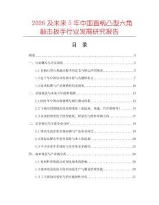 2026及未來5年中國直柄凸型六角敲擊扳手行業(yè)發(fā)展研究報(bào)告