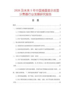 2026及未來5年中國液晶顯示雙面計費器行業(yè)發(fā)展研究報告