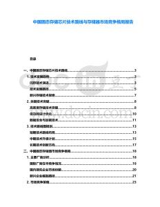 中國固態存儲芯片技術路線與存儲器市場競爭格局報告