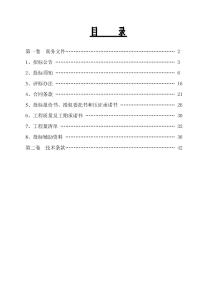 三湖聯圩新干段除險加固應急工程招投標資料