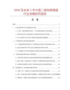 2026及未來5年中國二層轉角網籃行業發展研究報告