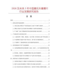 2026及未來5年中國摩托車摩擦片行業發展研究報告