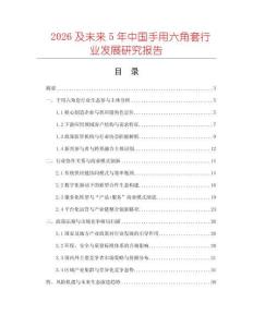 2026及未來5年中國手用六角套行業(yè)發(fā)展研究報(bào)告