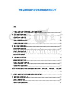 中国公益孵化器与初创型基金会培育路径分析