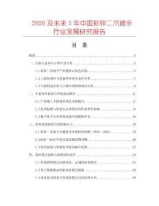 2026及未來5年中國彩鋅二爪擄手行業(yè)發(fā)展研究報告