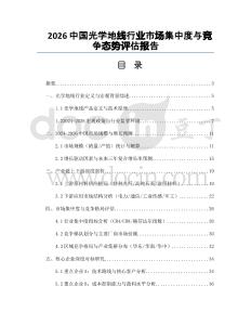 2026中國光學地線行業市場集中度與競爭態勢評估報告