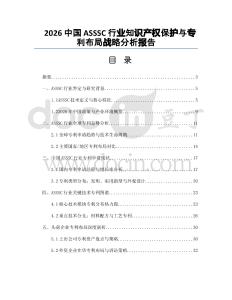 2026中國ASSSC行業知識產權保護與專利布局戰略分析報告