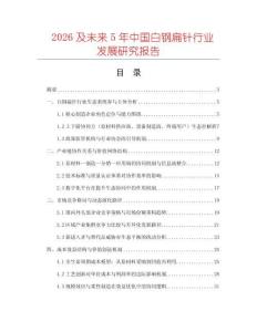 2026及未來(lái)5年中國(guó)白鋼扁針行業(yè)發(fā)展研究報(bào)告