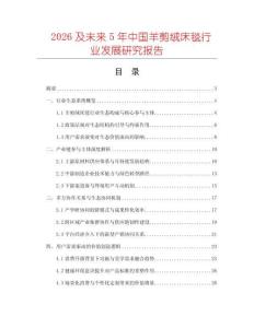 2026及未來5年中國羊剪絨床毯行業(yè)發(fā)展研究報告