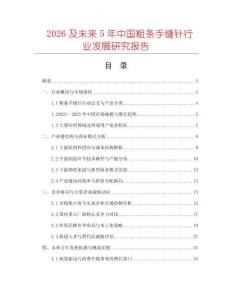 2026及未來5年中國粗條手縫針行業發展研究報告