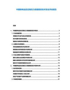 中國核電站反應堆壓力容器密封技術安全評估報告