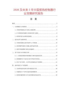 2026及未來5年中國預熱控制器行業(yè)發(fā)展研究報告