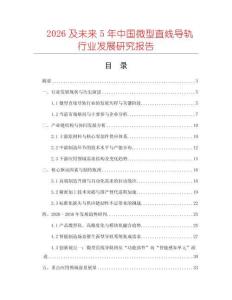 2026及未來5年中國微型直線導(dǎo)軌行業(yè)發(fā)展研究報告