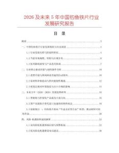 2026及未來5年中國釣魚鐵片行業發展研究報告
