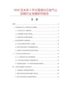2026及未來5年中國液化石油氣止回閥行業發展研究報告