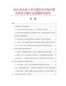 2026及未來(lái)5年中國(guó)合并式電子管功率放大器行業(yè)發(fā)展研究報(bào)告