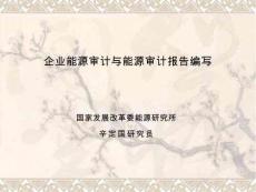 【精品】企業能源審計與能源審計報告編寫