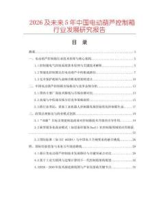 2026及未來5年中國電動葫蘆控制箱行業(yè)發(fā)展研究報告