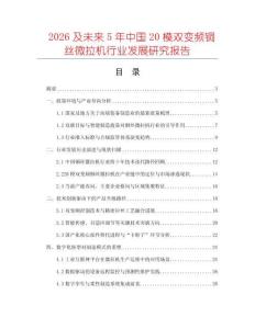 2026及未來5年中國20模雙變頻銅絲微拉機行業發展研究報告