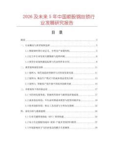 2026及未來5年中國(guó)順股鋼絲鎖行業(yè)發(fā)展研究報(bào)告