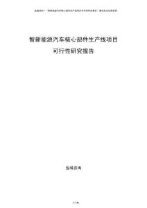 智新能源汽車核心部件生產(chǎn)線項目可行性研究報告