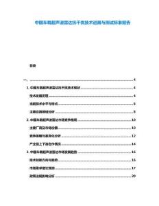 中國(guó)車載超聲波雷達(dá)抗干擾技術(shù)進(jìn)展與測(cè)試標(biāo)準(zhǔn)報(bào)告