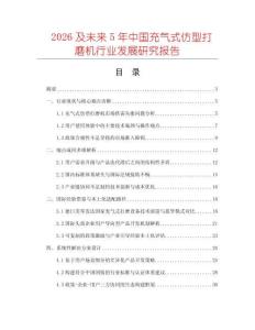 2026及未來5年中國充氣式仿型打磨機行業(yè)發(fā)展研究報告