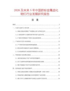2026及未來5年中國歐標金屬鹵化物燈行業(yè)發(fā)展研究報告