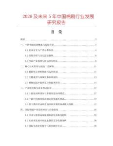 2026及未來5年中國棉刷行業發展研究報告