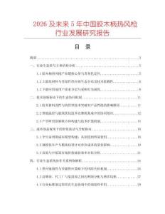 2026及未來5年中國膠木柄熱風槍行業(yè)發(fā)展研究報告