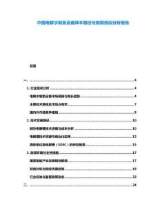 中國電解水制氫設備降本路徑與規模效應分析報告