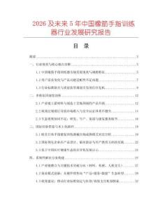 2026及未来5年中国橡筋手指训练器行业发展研究报告