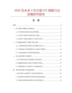 2026及未來5年中國PVE雨鞋行業(yè)發(fā)展研究報告